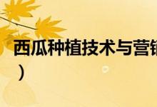 西瓜种植技术与营销（西瓜种植技术与管理法）