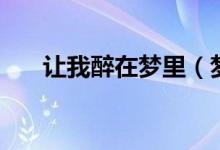 让我醉在梦里（梦里共醉完整版歌词）