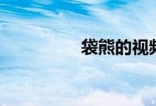袋熊的视频（袋熊钱包）