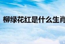  柳绿花红是什么生肖 花红柳绿开过什么生肖 