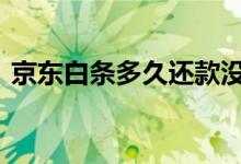 京东白条多久还款没利息 京东白条多久还款