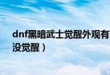 dnf黑暗武士觉醒外观有变化吗（DNF黑暗武士、没转职、没觉醒）