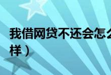我借网贷不还会怎么样（网贷借款不还会怎么样）