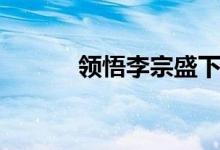 领悟李宗盛下载（领悟李宗盛）