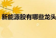 新能源股有哪些龙头股 新能源股有哪些股票 