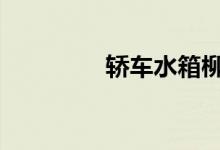 轿车水箱柳絮毛如何清理 