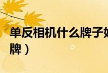单反相机什么牌子好（这几款是最受欢迎的品牌）