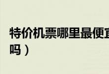 特价机票哪里最便宜（网站上的低价机票可靠吗）
