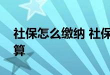 社保怎么缴纳 社保缴纳比例公司和个人怎么算 