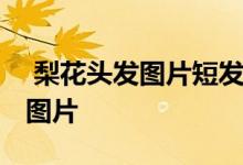  梨花头发图片短发 最潮最好看的短发梨花头图片 