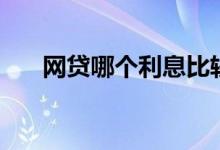 网贷哪个利息比较便宜（网贷哪个好）