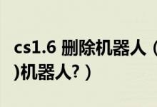 cs1.6 删除机器人（请问CS1.6如何添加(删除)机器人?）