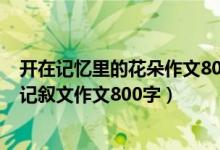 开在记忆里的花朵作文800字记叙文（开在记忆深处的花朵记叙文作文800字）