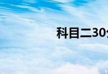 科目二30公分边线技巧 