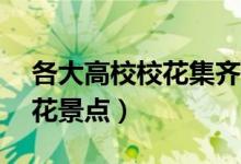 各大高校校花集齐（中国最美的20个高校赏花景点）