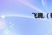 飞腾,（轮胎怎么样）