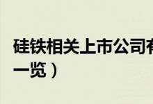 硅铁相关上市公司有哪些（硅铁上市公司龙头一览）