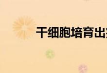 干细胞培育出完全合成小鼠胚胎