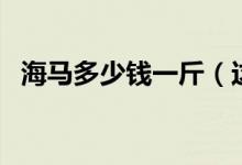 海马多少钱一斤（这些食用禁忌你需了解）