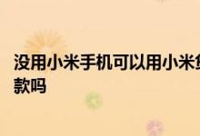 没用小米手机可以用小米贷款吗 不是小米手机能办理小米贷款吗