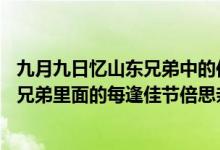九月九日忆山东兄弟中的倍思亲是什么意思（9月9日忆山东兄弟里面的每逢佳节倍思亲里的倍是什么意思）