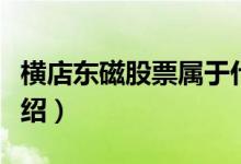 横店东磁股票属于什么概念（横店东磁股票介绍）