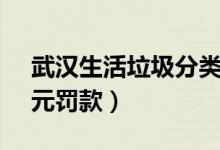 武汉生活垃圾分类（个人违规处50元至200元罚款）