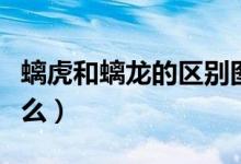 螭虎和螭龙的区别图（螭虎和螭龙的区别是什么）