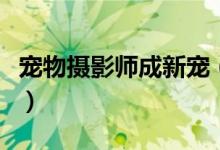 宠物摄影师成新宠（一套写真价格最高达万元）
