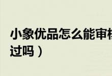 小象优品怎么能审核通过（小象优品审核容易过吗）
