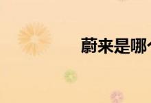 蔚来是哪个国家的品牌 