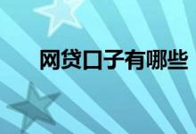 网贷口子有哪些（网贷口子大全app）