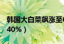 韩国大白菜飙涨至62元一颗（比2019年上涨40%）