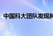 中国科大团队发现肿瘤免疫治疗新潜在靶点