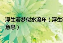 浮生若梦似水流年（浮生若梦为欢几何流年似水若梦浮生啥意思）