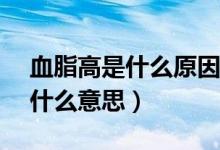 血脂高是什么原因引起的怎么调理（鞋子gs什么意思）