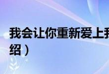 我会让你重新爱上我（让我重新爱上你歌词介绍）