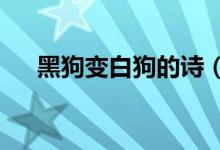 黑狗变白狗的诗（黑狗变白狗为什么?）