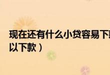 现在还有什么小贷容易下款的?介绍几个?（还有哪些小贷可以下款）