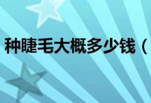种睫毛大概多少钱（种睫毛和接睫毛的区别）