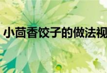 小茴香饺子的做法视频（小茴香饺子的做法）