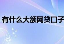 有什么大额网贷口子（网贷大额口子有哪些）