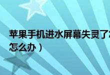 苹果手机进水屏幕失灵了怎么办（苹果手机进水屏幕失灵了怎么办）