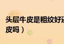 头层牛皮是粗纹好还是细纹好（头层牛皮是真皮吗）