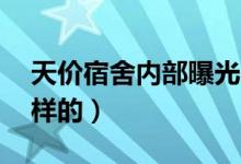 天价宿舍内部曝光（收费1万6的宿舍竟是这样的）