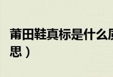 莆田鞋真标是什么质量（莆田鞋真标是什么意思）