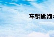 车钥匙泡水了有影响吗 