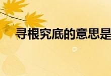 寻根究底的意思是（寻根究底什么意思）