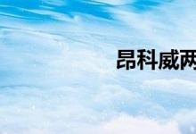 昂科威两前车窗失灵 