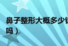 鼻子整形大概多少钱（假体整鼻可以终身不换吗）